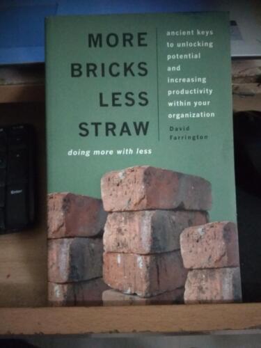 More-Bricks-1